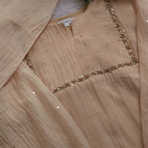 Elegant Embroidered Pleated Kurta Set