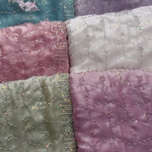 Ethereal Sheer Embroidered Dupatta Collection