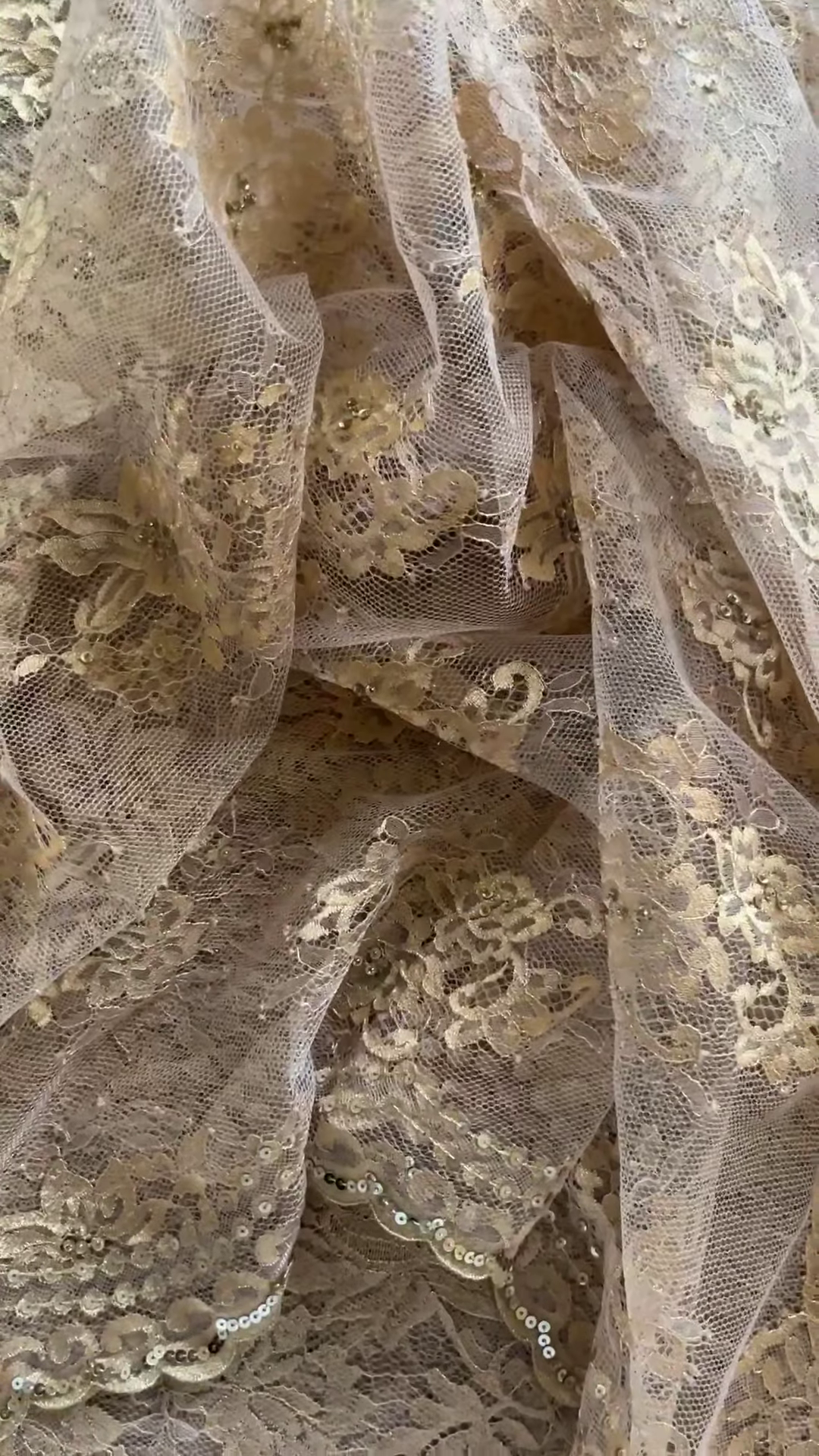 Champagne Gold Sequin Embroidered Lace Saree with Designer Blouse - Image 4