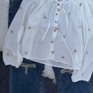 Embroidered Sheer Blouse