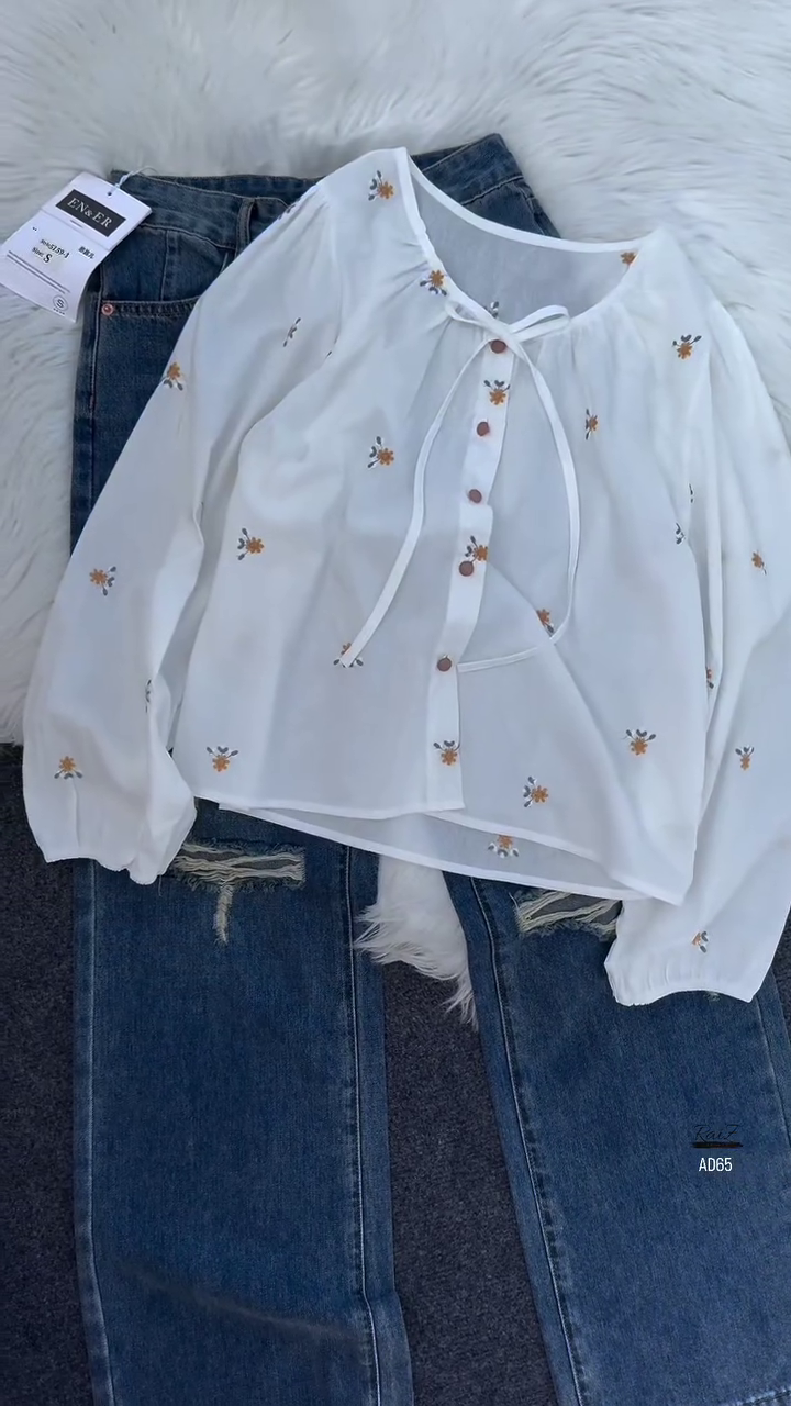 Embroidered Sheer Blouse