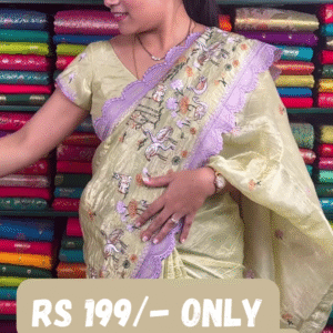 Elegant Embroidered Organza Saree – 4 Color Variants